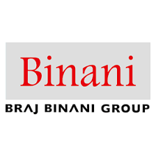 Binani Group logo